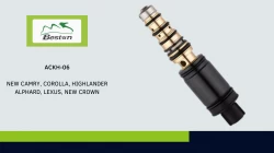 ACKH-06