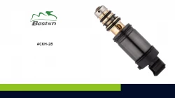 ACKH-28
